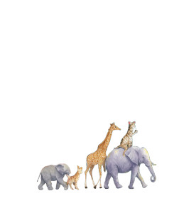 Magical Zoo Parade Vinyl Car Decal Sticker – Waterproof & UV-Resistant 8.106666666666667" Magical Zoo Parade Vinyl Car Decal Sticker – Waterproof & UV-Resistant 8.106666666666667"