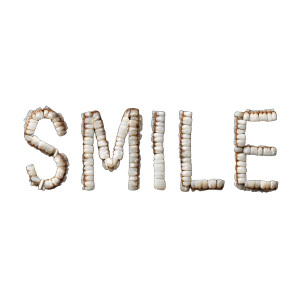 Teeth Smile Vinyl Car Decal Sticker – Waterproof & UV-Resistant 3.4133333333333336"