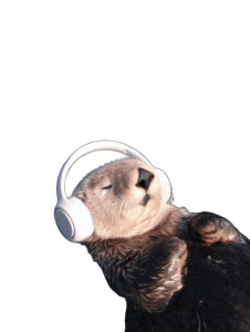 Otter With Headphones V2 Vinyl Car Decal Sticker – Waterproof & UV-Resistant 8.213333333333333" Otter With Headphones V2 Vinyl Car Decal Sticker – Waterproof & UV-Resistant 8.213333333333333"
