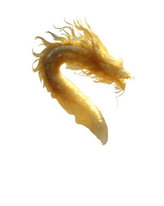 Golden Dragon Ascending Vinyl Car Decal Sticker – Waterproof & UV-Resistant 8.0" Golden Dragon Ascending Vinyl Car Decal Sticker – Waterproof & UV-Resistant 8.0"
