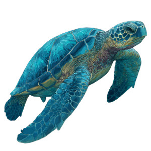Blue Cartoon Turtle Vinyl Car Decal Sticker – Waterproof & UV-Resistant 6.826666666666667"