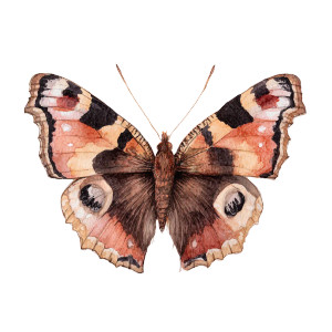 Victorian Butterfly Art Vinyl Car Decal Sticker – Waterproof & UV-Resistant 3.4133333333333336" Victorian Butterfly Art Vinyl Car Decal Sticker – Waterproof & UV-Resistant 3.4133333333333336"