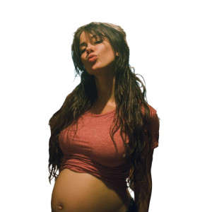 Pregnant Baddie Vinyl Car Decal Sticker – Waterproof & UV-Resistant 3.4133333333333336"