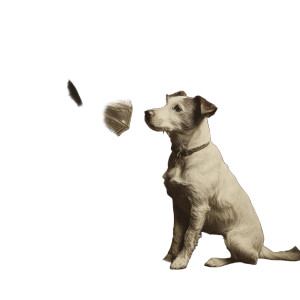 Dog With Gramophone Vinyl Car Decal Sticker – Waterproof & UV-Resistant 3.4133333333333336"