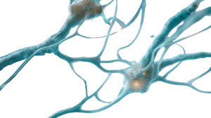 Glowing Neural Network V5 Vinyl Car Decal Sticker – Waterproof & UV-Resistant 5.4