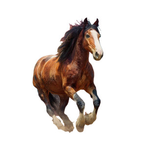 Galloping Horse V7 Vinyl Car Decal Sticker – Waterproof & UV-Resistant 3.4133333333333336" Galloping Horse V7 Vinyl Car Decal Sticker – Waterproof & UV-Resistant 3.4133333333333336"