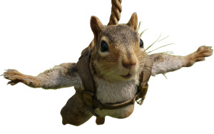 Anthropomorphic Squirrel Harness Vinyl Car Decal Sticker – Waterproof & UV-Resistant 5.76"