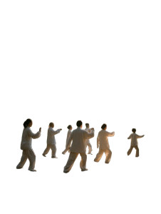 Tai Chi Practice V2 Vinyl Car Decal Sticker – Waterproof & UV-Resistant 4.1066666666666665"
