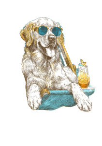 Golden Retriever Chill Vinyl Car Decal Sticker – Waterproof & UV-Resistant 4.32"