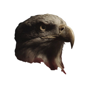Patriotic Eagle Scene V4 Vinyl Car Decal Sticker – Waterproof & UV-Resistant 3.4133333333333336" Patriotic Eagle Scene V4 Vinyl Car Decal Sticker – Waterproof & UV-Resistant 3.4133333333333336"