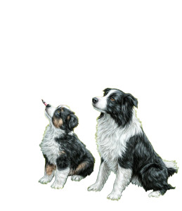 Teaching Pup To Sketch Vinyl Car Decal Sticker – Waterproof & UV-Resistant 3.946666666666666 Teaching Pup To Sketch Vinyl Car Decal Sticker – Waterproof & UV-Resistant 3.946666666666666