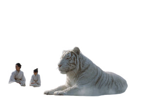White Tiger Hot Spring Vinyl Car Decal Sticker – Waterproof & UV-Resistant 6.1866666666666665"