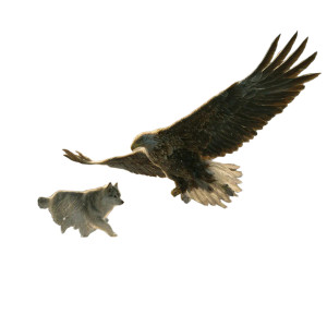 Eagle Dives At Wolf Vinyl Car Decal Sticker – Waterproof & UV-Resistant 3.4133333333333336" Eagle Dives At Wolf Vinyl Car Decal Sticker – Waterproof & UV-Resistant 3.4133333333333336"