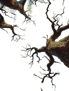 Majestic Oak Tree V8 Vinyl Car Decal Sticker – Waterproof & UV-Resistant 4.1066666666666665"