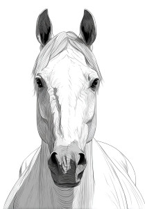Epic Horse Head Vinyl Car Decal Sticker – Waterproof & UV-Resistant 4.373333333333333" Epic Horse Head Vinyl Car Decal Sticker – Waterproof & UV-Resistant 4.373333333333333"