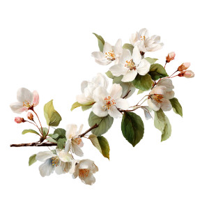 Floral Branch Vinyl Car Decal Sticker – Waterproof & UV-Resistant 3.4133333333333336"