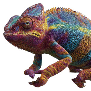 Rainbow Chameleon Vinyl Car Decal Sticker – Waterproof & UV-Resistant 3.4133333333333336"