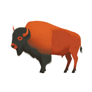 Orange Bison Vinyl Car Decal Sticker – Waterproof & UV-Resistant 3.4133333333333336"