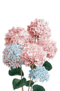 Blooming Hydrangea Flowers Vinyl Car Decal Sticker – Waterproof & UV-Resistant 4.4