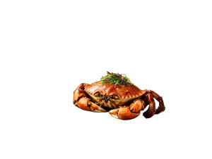 Hairy Crab Feast Vinyl Car Decal Sticker – Waterproof & UV-Resistant 6.1866666666666665"