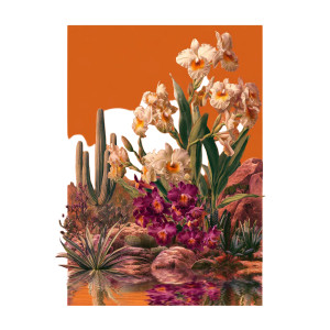 Desert Orchid Bloom Vinyl Car Decal Sticker – Waterproof & UV-Resistant 3.4133333333333336"