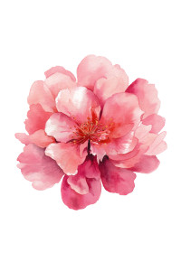 Pink Flower Bloom V2 Vinyl Car Decal Sticker – Waterproof & UV-Resistant 4.4