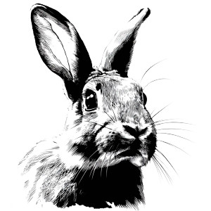 Svg Rabbit Vinyl Car Decal Sticker – Waterproof & UV-Resistant 3.4133333333333336" Svg Rabbit Vinyl Car Decal Sticker – Waterproof & UV-Resistant 3.4133333333333336"