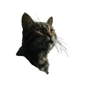 Jungle Cat V3 Vinyl Car Decal Sticker – Waterproof & UV-Resistant 6.826666666666667"