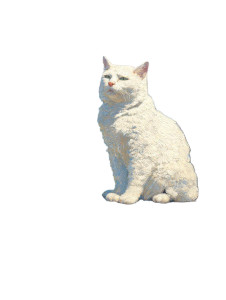 Cat By Sea Vinyl Car Decal Sticker – Waterproof & UV-Resistant 4.1066666666666665" Cat By Sea Vinyl Car Decal Sticker – Waterproof & UV-Resistant 4.1066666666666665"