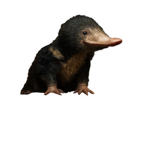Niffler On Treasure Vinyl Car Decal Sticker – Waterproof & UV-Resistant 3.4133333333333336"