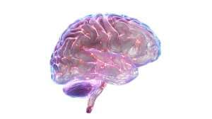 Neon Brain Hologram Vinyl Car Decal Sticker – Waterproof & UV-Resistant 2.72"