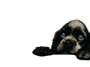 Cocker Spaniel Painting V2 Vinyl Car Decal Sticker – Waterproof & UV-Resistant 6.1866666666666665"