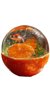 Crystal Orange Fish Vinyl Car Decal Sticker – Waterproof & UV-Resistant 4.8533333333333335"