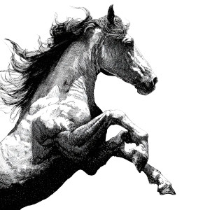 Rearing Horse Art Vinyl Car Decal Sticker – Waterproof & UV-Resistant 3.4133333333333336"