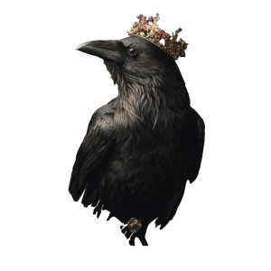 Crowned Gothic Raven Vinyl Car Decal Sticker – Waterproof & UV-Resistant 3.4133333333333336"