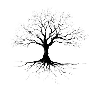 Sketched Tree Vinyl Car Decal Sticker – Waterproof & UV-Resistant 3.4133333333333336" Sketched Tree Vinyl Car Decal Sticker – Waterproof & UV-Resistant 3.4133333333333336"
