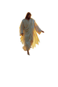 Divine Jesus Glides Vinyl Car Decal Sticker – Waterproof & UV-Resistant 8.96"