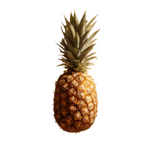 Floating Ananas Vinyl Car Decal Sticker – Waterproof & UV-Resistant 6.826666666666667"
