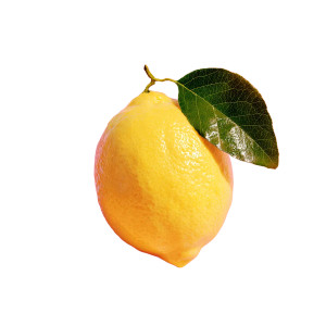 Lemon With Leaf Vinyl Car Decal Sticker – Waterproof & UV-Resistant 6.826666666666667"