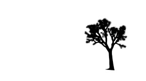 Joshua Tree Silhouette Vinyl Car Decal Sticker – Waterproof & UV-Resistant 2.72"