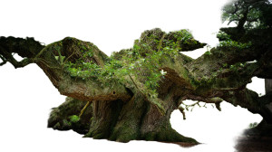 Ancient Oak Vinyl Car Decal Sticker – Waterproof & UV-Resistant 5.4