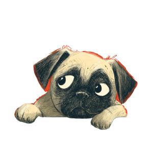 Sad Pug Puppy Vinyl Car Decal Sticker – Waterproof & UV-Resistant 3.4133333333333336" Sad Pug Puppy Vinyl Car Decal Sticker – Waterproof & UV-Resistant 3.4133333333333336"