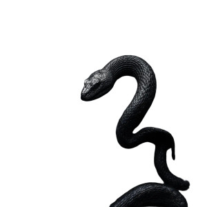 Evil Skull Snake Vinyl Car Decal Sticker – Waterproof & UV-Resistant 3.4133333333333336"