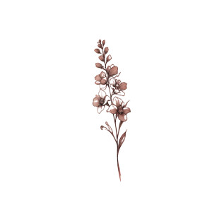 Larkspur Tattoo Vinyl Car Decal Sticker – Waterproof & UV-Resistant 3.4133333333333336" Larkspur Tattoo Vinyl Car Decal Sticker – Waterproof & UV-Resistant 3.4133333333333336"