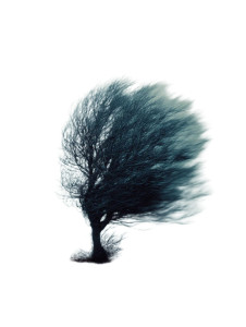 Symbolic Tree Vinyl Car Decal Sticker – Waterproof & UV-Resistant 8.213333333333333"