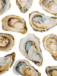 Watercolor Oyster Vinyl Car Decal Sticker – Waterproof & UV-Resistant 8.213333333333333"