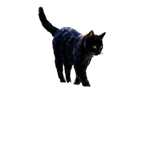 Magic Water Cat Vinyl Car Decal Sticker – Waterproof & UV-Resistant 6.826666666666667"