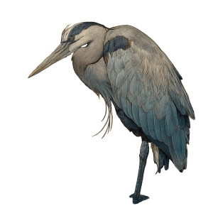 Blue Heron Art V2 Vinyl Car Decal Sticker – Waterproof & UV-Resistant 6.826666666666667"