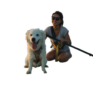 Puppy Paddleboarding Vinyl Car Decal Sticker – Waterproof & UV-Resistant 6.826666666666667"