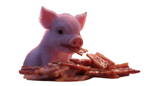 Pig Eating Bacon Vinyl Car Decal Sticker – Waterproof & UV-Resistant 2.72"